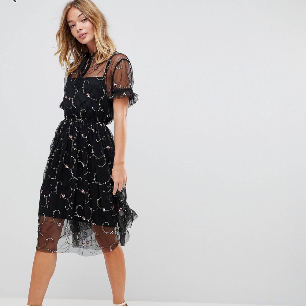 Liquorish floral Embroidered Mesh Dress with Slip - Picture 2 of 5